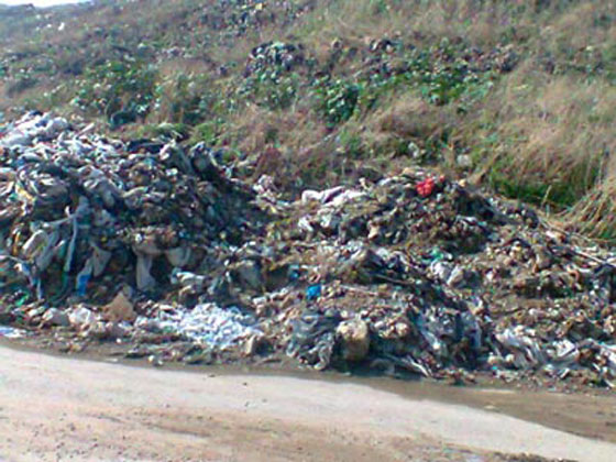  عائلة لبنانية تفضل هول الحرب في سوريا على رائحة النفايات في لبنان صورة رقم 3