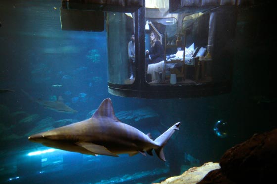 مسلسلات اون لاين يلخص لكم ابرز احداث هذا الاسبوع في صور صورة رقم 16