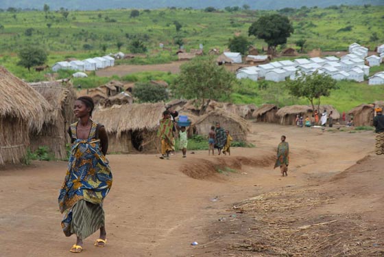 فضيحة عالمية.. قوات حفظ السلام تنتهك حرمات النساء والانام!! صورة رقم 1