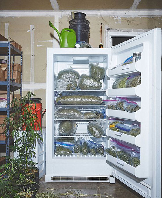 هكذا تساعد راهبات الماريجوانا الناس بشكل مختلف ويحظين بالمغفرة صورة رقم 1