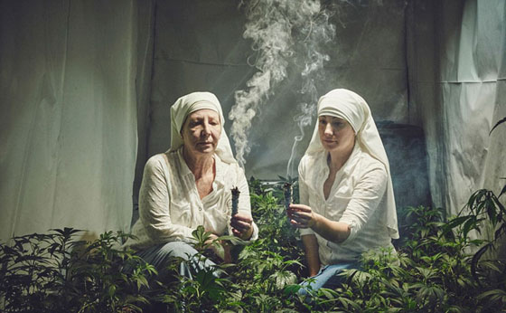 هكذا تساعد راهبات الماريجوانا الناس بشكل مختلف ويحظين بالمغفرة صورة رقم 5