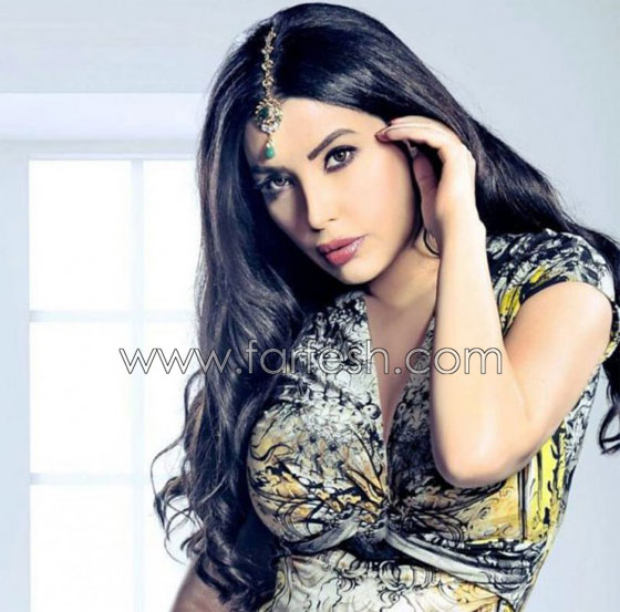 15 فنانا وفنانة اعلنوا اعتزال الفن ثم تراجعوا عن قرارهن صورة رقم 6