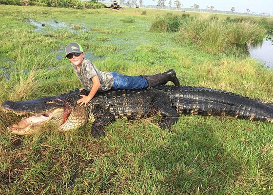  فيديو وصور.. مزارعون يقتلون تمساحا عملاقا عمره بـ100 عام صورة رقم 1