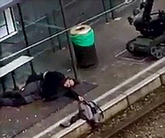  حقيبة شاب جزائري تحتوي على اعضاء حيوانات تثير قلق بلجيكا صورة رقم 1