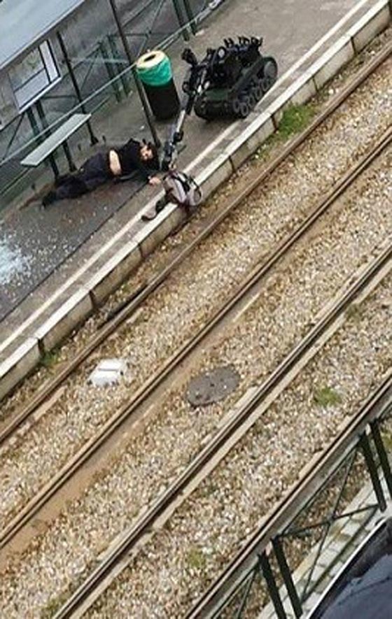  حقيبة شاب جزائري تحتوي على اعضاء حيوانات تثير قلق بلجيكا صورة رقم 4