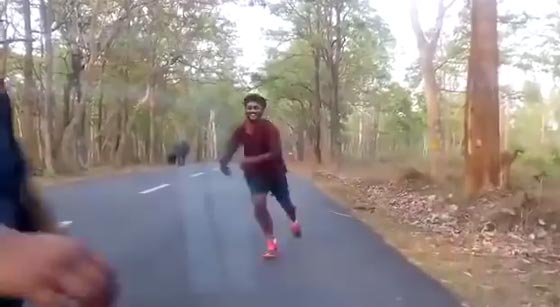  فيديو مؤلم.. 4 هنود يرشقون فيلة بالحجارة يواجهون عقوبة السجن صورة رقم 2