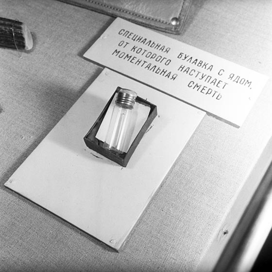  الأسرار الكاملة لمهمة التجسس السرية (سيدة التنين) التي لم تكتمل صورة رقم 2