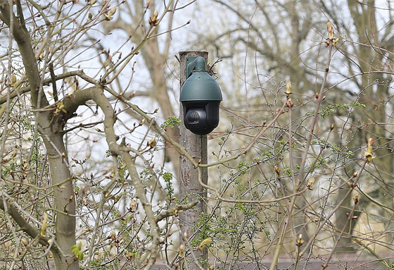 صور منزل جديد لـ امل علم الدين وجورج كلوني بـ 14 ملايين دولار صورة رقم 6 صور منزل جديد لـ امل علم الدين وجورج كلوني بـ 14 ملايين دولار صورة رقم 6