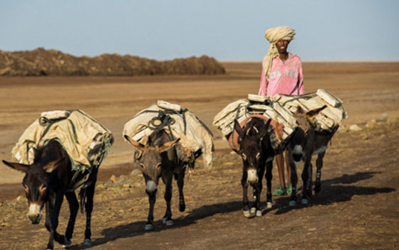 اذا كنت تعتقد ان مهنتك شاقة شاهد ماذا يفعل هذا الرجل في بوابة الجحيم صورة رقم 6 اذا كنت تعتقد ان مهنتك شاقة شاهد ماذا يفعل هذا الرجل في بوابة الجحيم صورة رقم 6