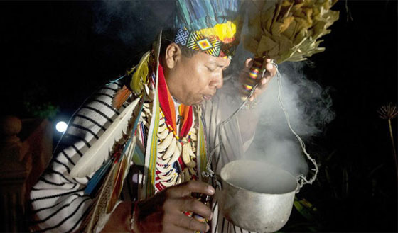 علاج آياهواسكا الامازوني: خليط مسبب للهلوسة يعالج الاكتئاب والقلق صورة رقم 1