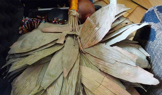 علاج آياهواسكا الامازوني: خليط مسبب للهلوسة يعالج الاكتئاب والقلق صورة رقم 3