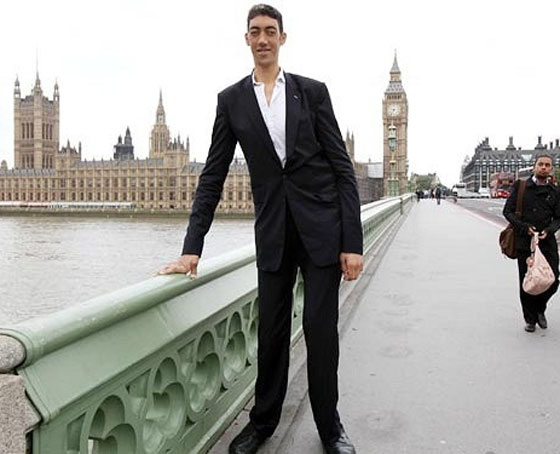 اطول رجل في العالم يسعى الى تحقيق المستحيل في هوليوود صورة رقم 4