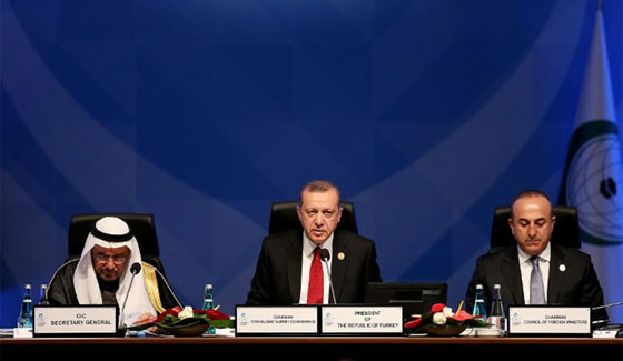 فيديو لوزير الخارجية المصري يتجنب مصافحة اردوغان ويغادر المنصة صورة رقم 2