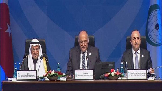 فيديو لوزير الخارجية المصري يتجنب مصافحة اردوغان ويغادر المنصة صورة رقم 1