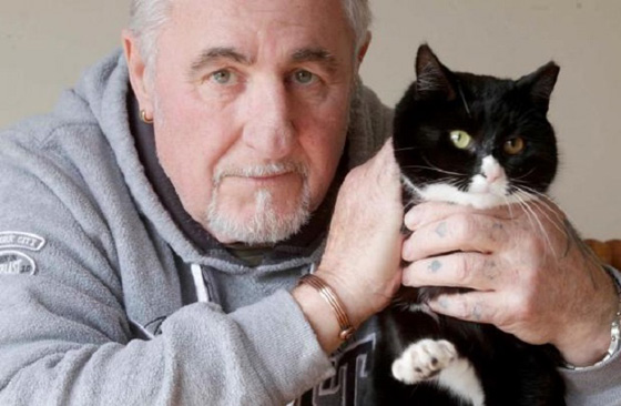 معجزة.. قطة تصاب بـ 30 رصاصة وتبقى على قيد الحياة صورة رقم 3