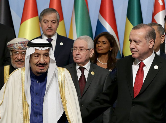 امرأة سافرة وسط قادة مجلس التعاون الاسلامي تثير التساؤل.. من تكون؟! صورة رقم 1