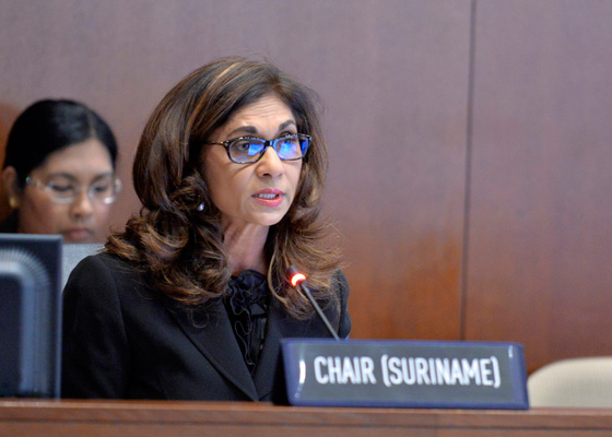 امرأة سافرة وسط قادة مجلس التعاون الاسلامي تثير التساؤل.. من تكون؟! صورة رقم 3