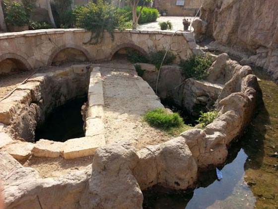 كيف تحوّل مزار (شجرة مريم) المقدس لمرتع للرذيلة والمخدرات؟ صورة رقم 4