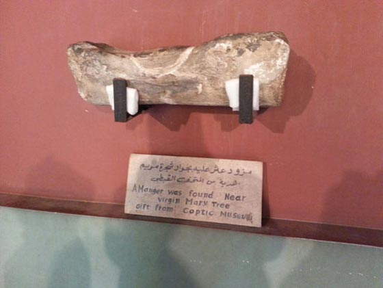 كيف تحوّل مزار (شجرة مريم) المقدس لمرتع للرذيلة والمخدرات؟ صورة رقم 6