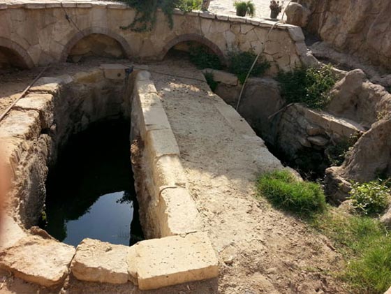 كيف تحوّل مزار (شجرة مريم) المقدس لمرتع للرذيلة والمخدرات؟ صورة رقم 8