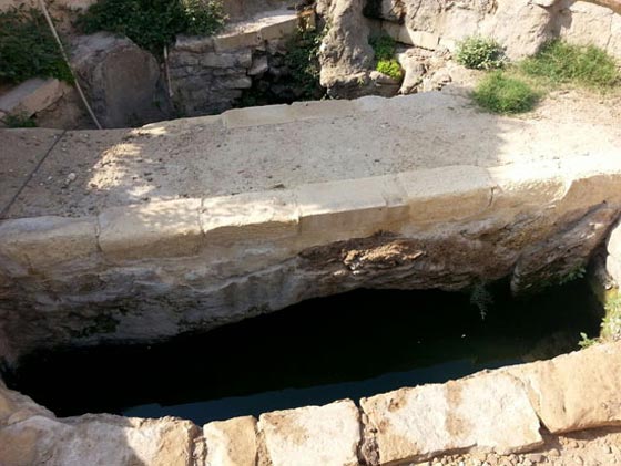 كيف تحوّل مزار (شجرة مريم) المقدس لمرتع للرذيلة والمخدرات؟ صورة رقم 9