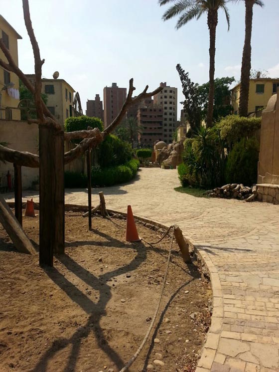 كيف تحوّل مزار (شجرة مريم) المقدس لمرتع للرذيلة والمخدرات؟ صورة رقم 10