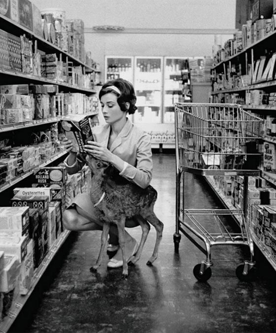 صور نادرة: أسامة بن لادن 1970، تيتانيك قبل الغرق، كوكاكولا في فرنسا صورة رقم 6