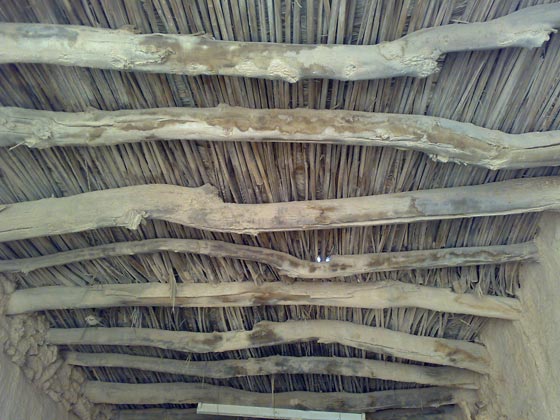 سُعُف النخيل تُسعف اليمنيين في البناء.. شاهد مساجد من سعف النخيل صورة رقم 6