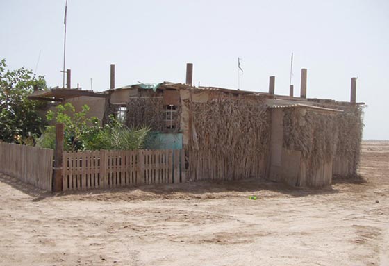 سُعُف النخيل تُسعف اليمنيين في البناء.. شاهد مساجد من سعف النخيل صورة رقم 5