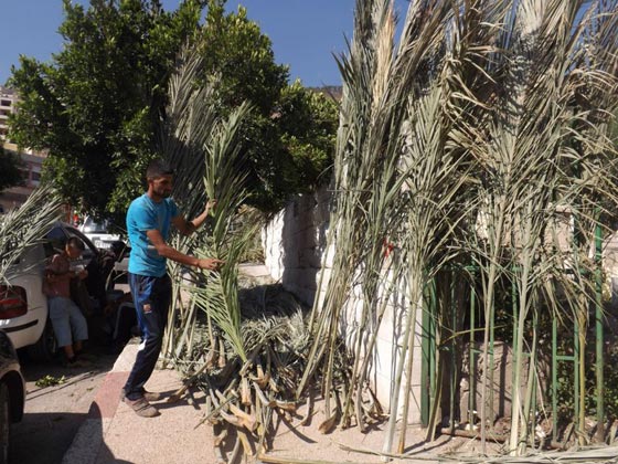 سُعُف النخيل تُسعف اليمنيين في البناء.. شاهد مساجد من سعف النخيل صورة رقم 7