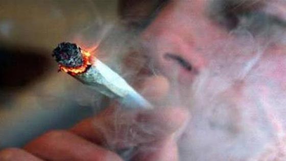 الماريجوانا ستصبح متاحة قانونيا في كندا الربيع المقبل صورة رقم 2