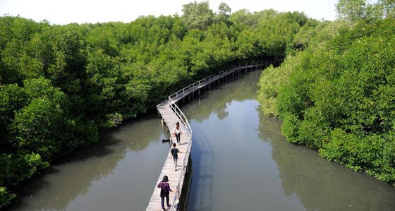 العالم يحيي يوم الارض.. اليك 10 معلومات مثيرة عن هذا اليوم! صورة رقم 3
