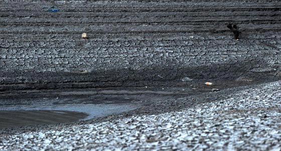 العالم يحيي يوم الارض.. اليك 10 معلومات مثيرة عن هذا اليوم! صورة رقم 6