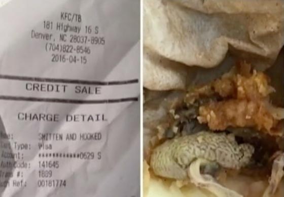 صدمة.. فتاة تصاب بالاشمئزاز بسبب كلى الدجاج في وجبة كنتاكي صورة رقم 2