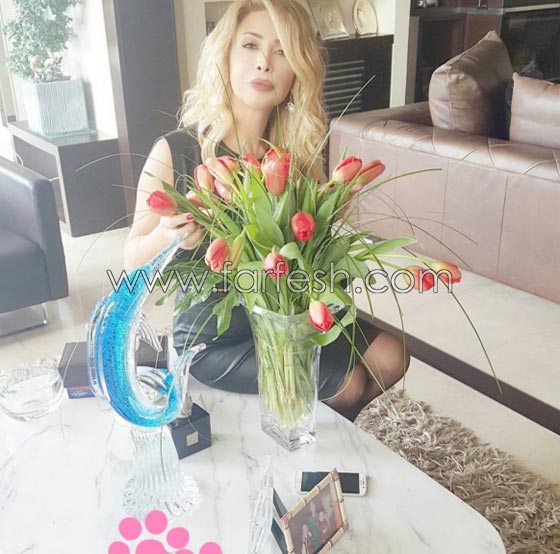 نوال الزغبي لمتابعة وقحة: تربية الكلاب أشرف من تربيتك! صورة رقم 6