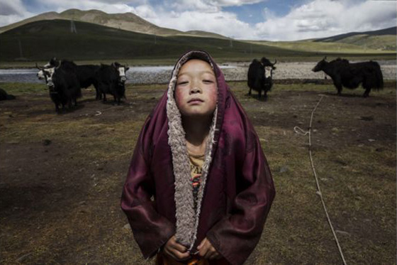 شاهد الصور الفائزة في مسابقة سوني العالمية وتعرف على فائزيها صورة رقم 4