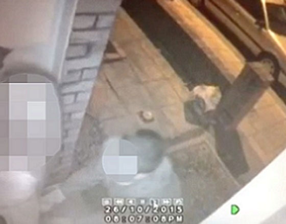 فرنسا تصيح.. منحرف جزائري يسطو على اجساد نسائها!! صورة رقم 4