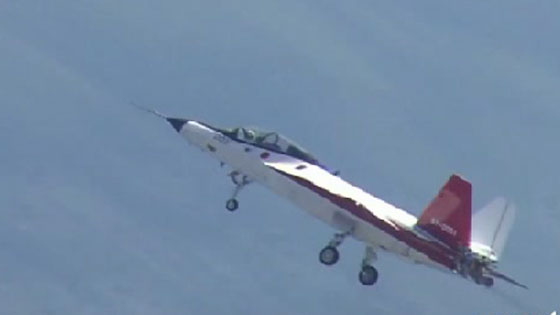 استعراض مثير لمهارات الشبح الياباني في سماء لا حدود لها صورة رقم 2