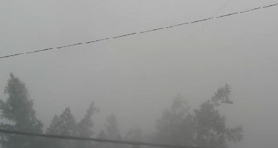 الامريكيون يحاربون الدواعش على الطريقة الاسرائيلية!! صورة رقم 6