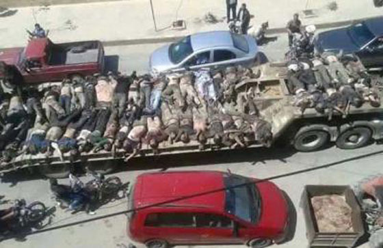 بالفيديو..عرض لجثث قتلى الجيش السوري الحر على شاحنة في حلب صورة رقم 1