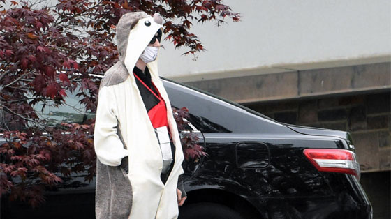 تنكر وارتدى حزاما ناسفا من الشوكولاتة فاطلقت الشرطة النار عليه صورة رقم 8