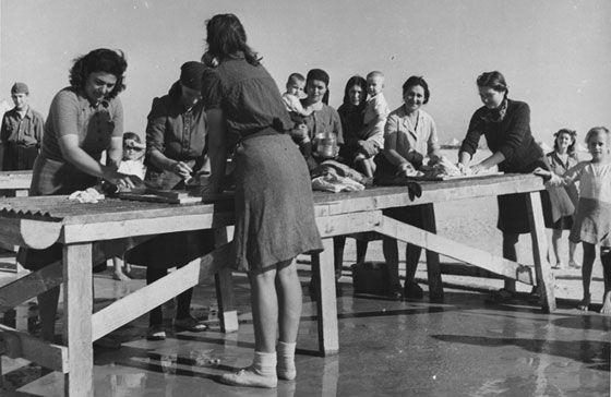 هكذا فتحت سوريا ذراعيها للاجئين الاوروبيين وهم اغلقوا الابواب في وجهها صورة رقم 10