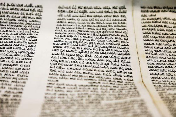 العثور على نسخة من التوراة تعود لـ600 سنة مكتوبة على جلد حوت صورة رقم 4