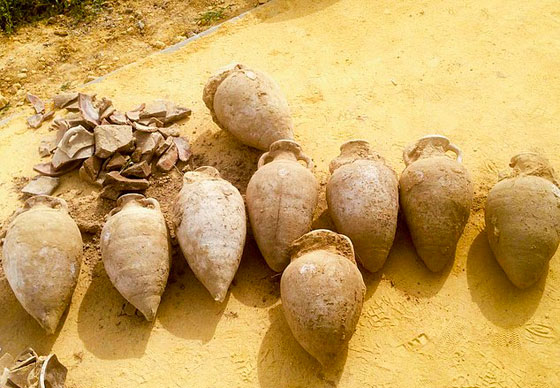 عمال بناء يعثرون على كنز روماني مخبأ في قوارير.. شاهد صورة رقم 1