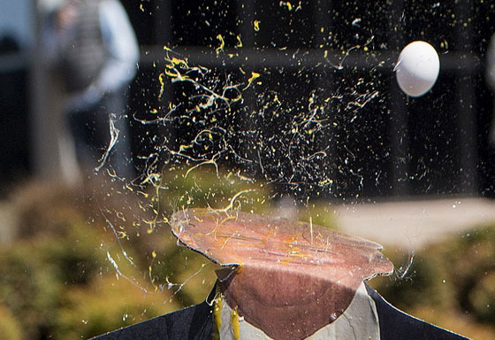  استقبال ترامب بالبيض والصدور المكشوفة وتهريبه من باب خلفي صورة رقم 1