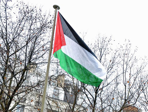 لماذا حظرت اكبر مسابقة في العالم العلمين الفلسطيني والداعشي؟ صورة رقم 7