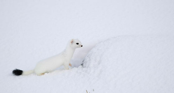 تعطل اعظم واخطر محطة في العالم.. لهذا السبب البسيط جدا جدا!! صورة رقم 2