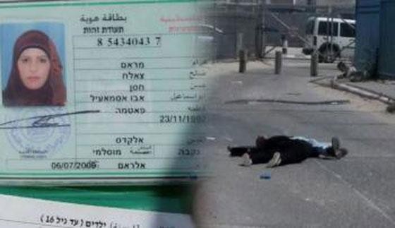 مطالبة الشرطة الاسرائيلية بالكشف عن فيديو يظهر اعدام فلسطيني وشقيقته صورة رقم 2