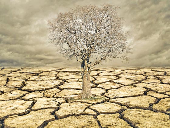 تقرير سري.. العالم على شفى كارثة ومياه الشرب ستختفي بعد سنوات صورة رقم 3 تقرير سري.. العالم على شفى كارثة ومياه الشرب ستختفي بعد سنوات صورة رقم 3