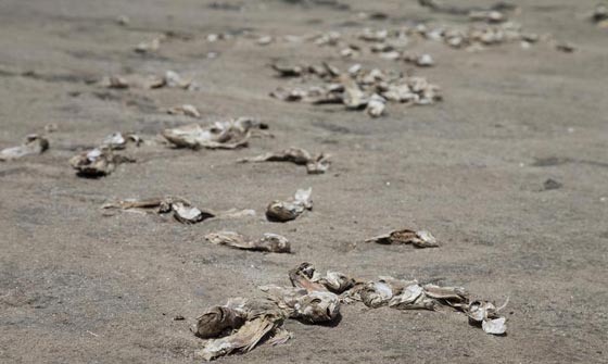 تقرير سري.. العالم على شفى كارثة ومياه الشرب ستختفي بعد سنوات صورة رقم 2 تقرير سري.. العالم على شفى كارثة ومياه الشرب ستختفي بعد سنوات صورة رقم 2